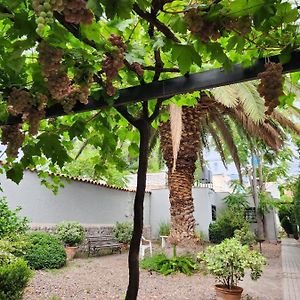 Paso De Los Andes 1450 Mendoza Suites